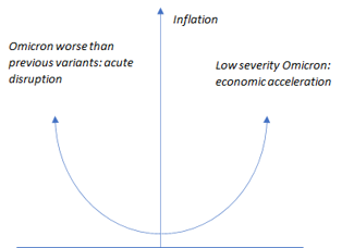 Omricon image 2