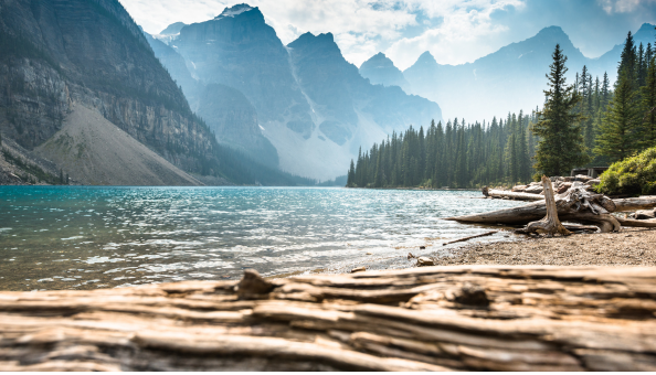 Calm Markets – Time To Hedge?