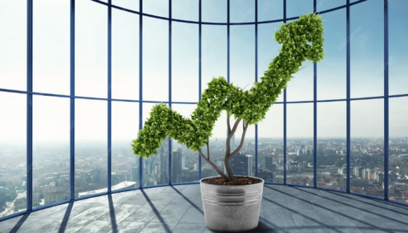 Validus appoints senior hires in response to continued business growth