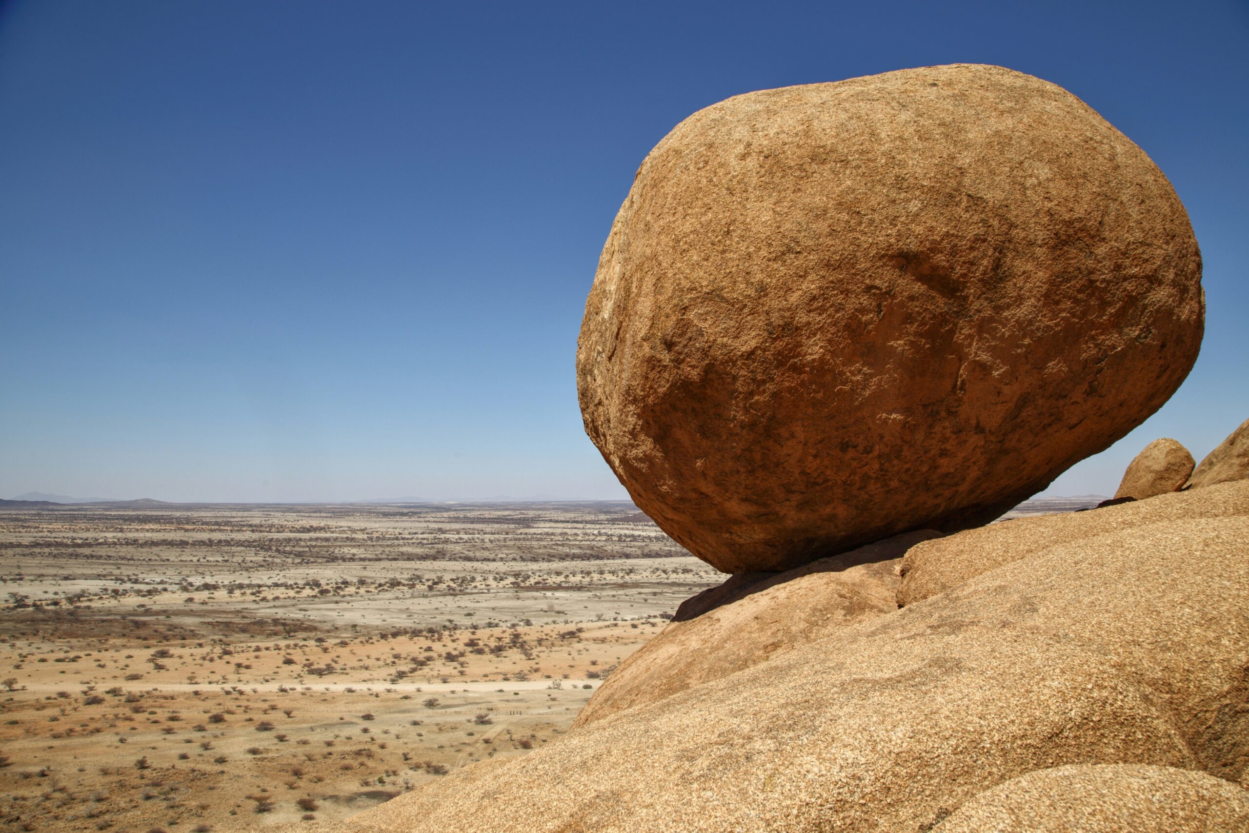 Durable Risk Management: How private markets are navigating new risk landscapes
