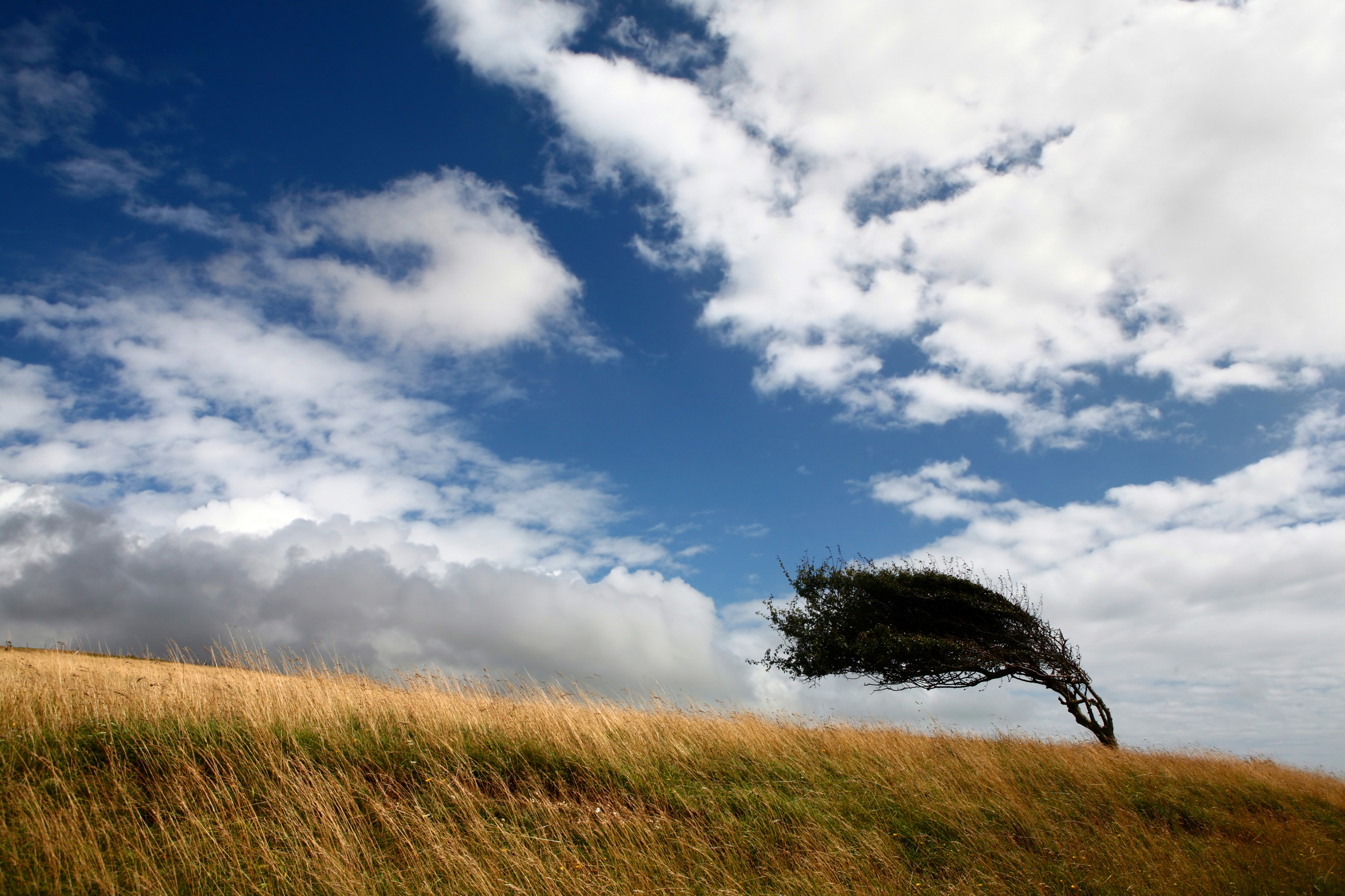 A New Rates Regime: Managing Volatility Post-War