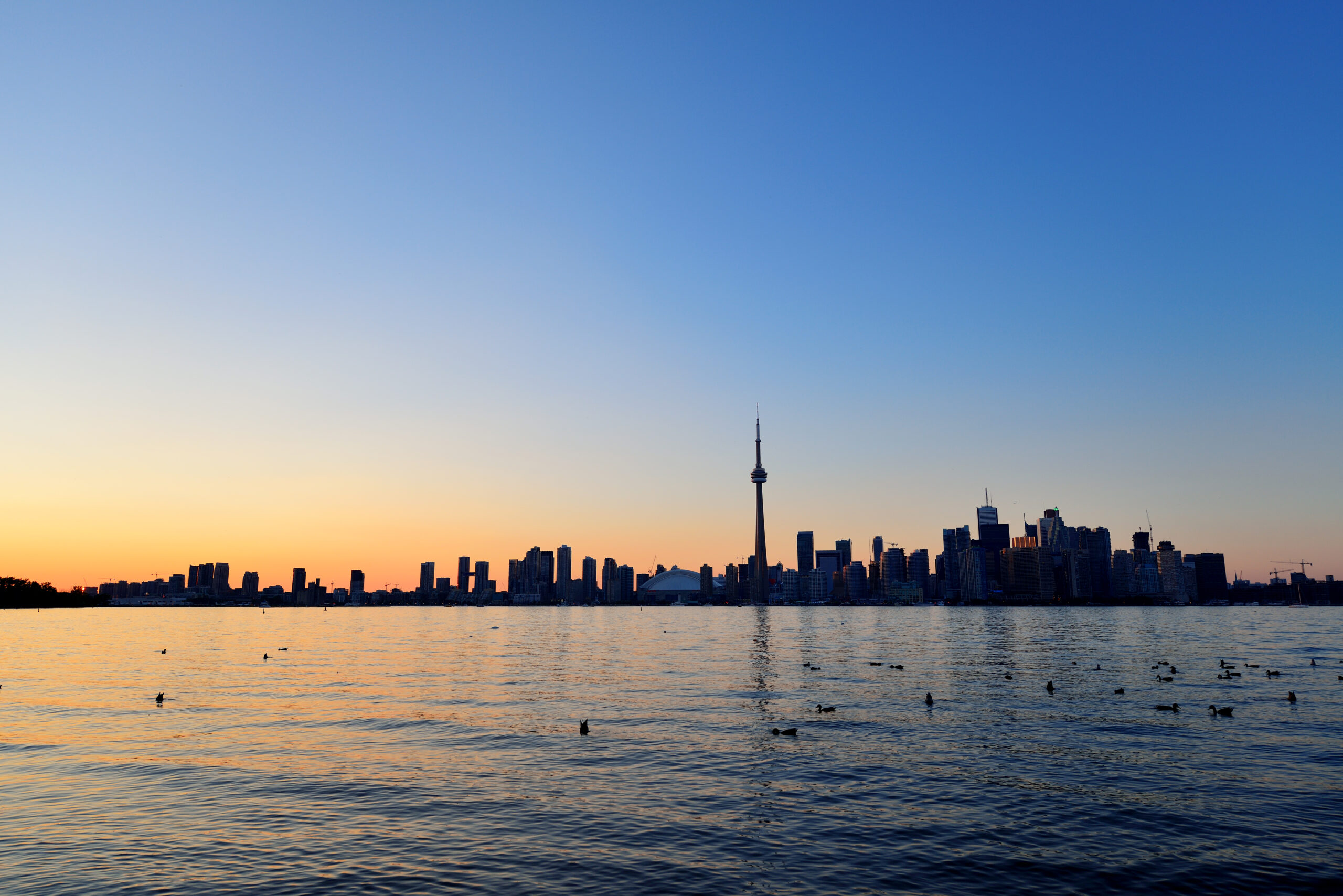 The Life At Validus | Toronto